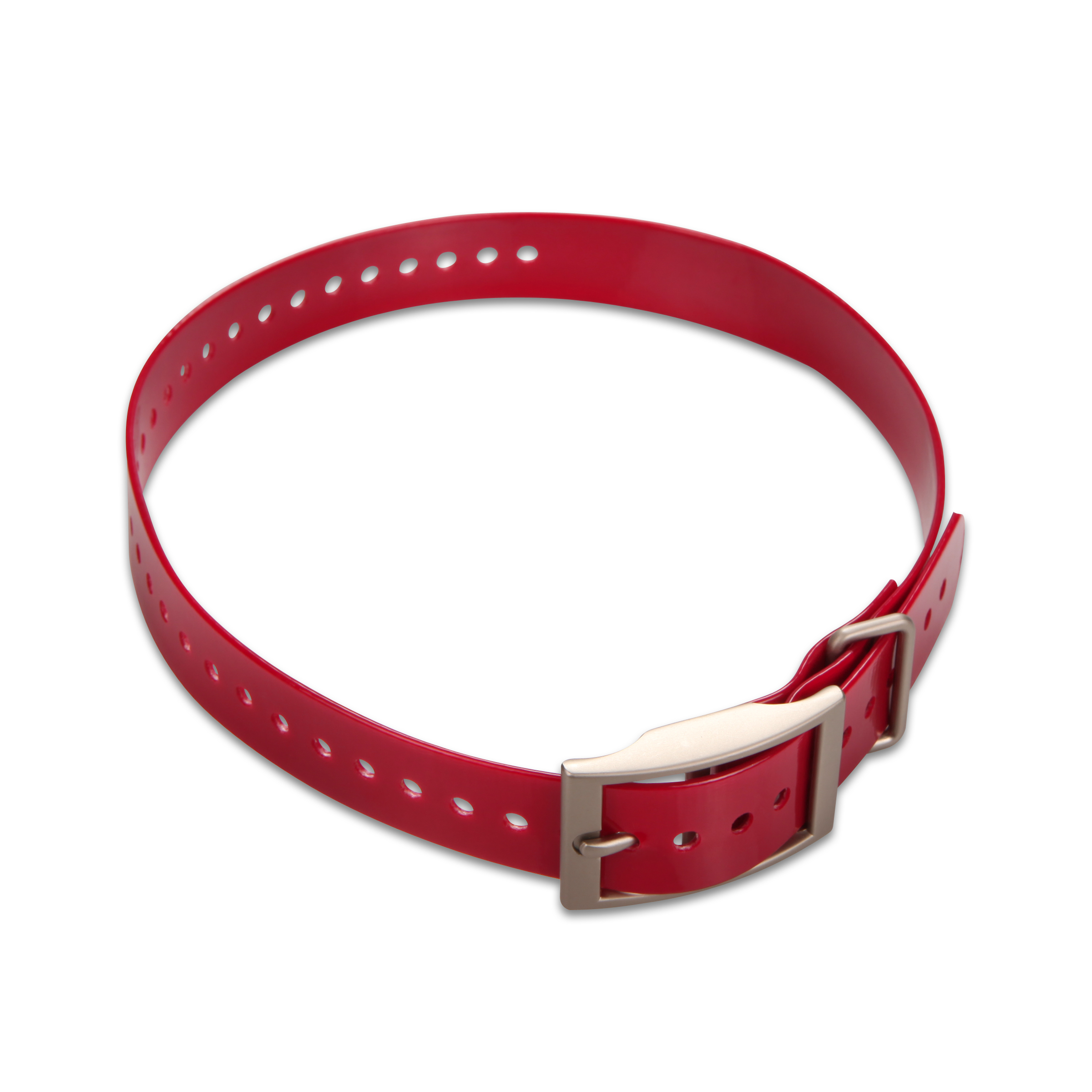 2,5CM-NYLON-HALSBAND Riemenschnalle Rot/Silber