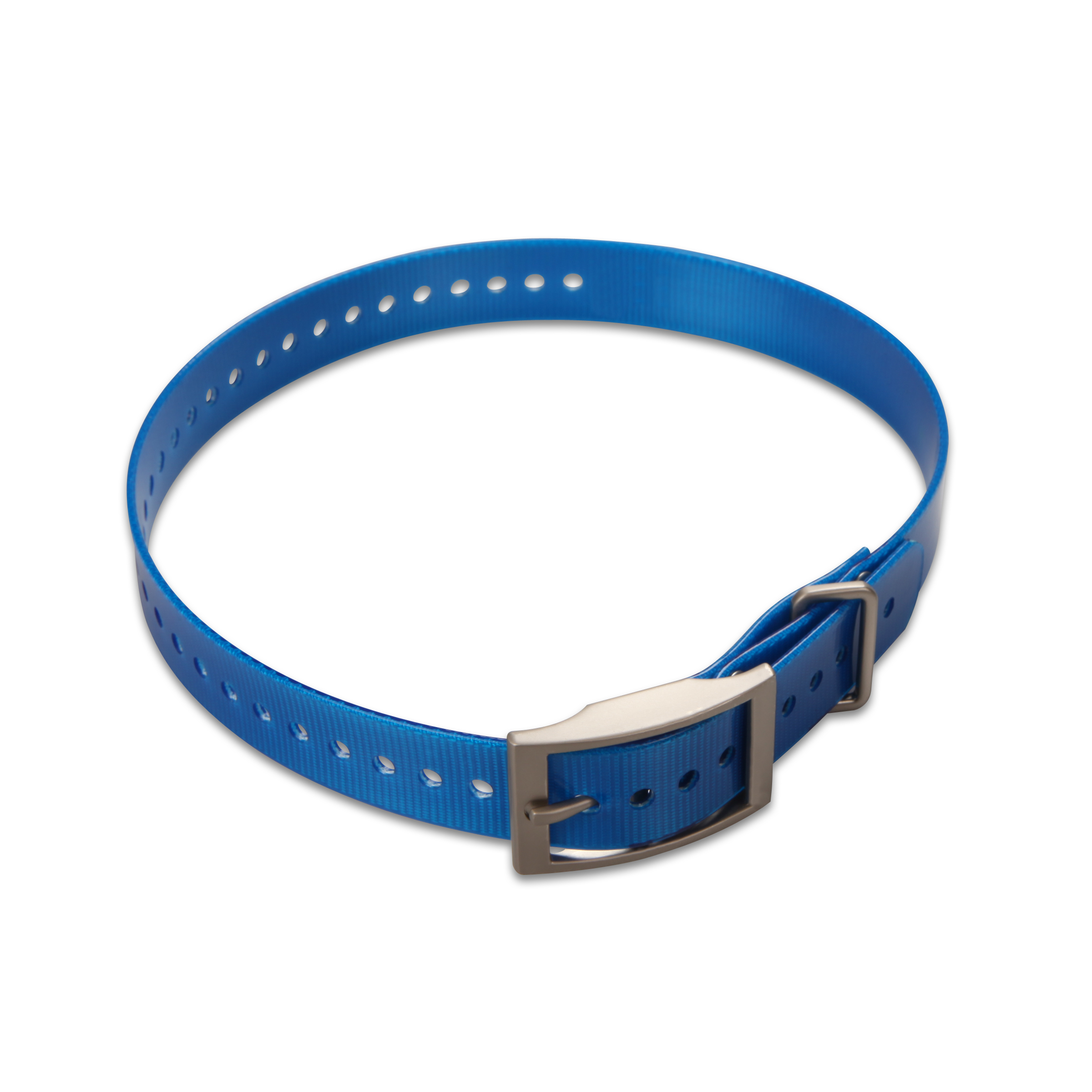 2,5CM-NYLON-HALSBAND Riemenschnalle Blau/Silber