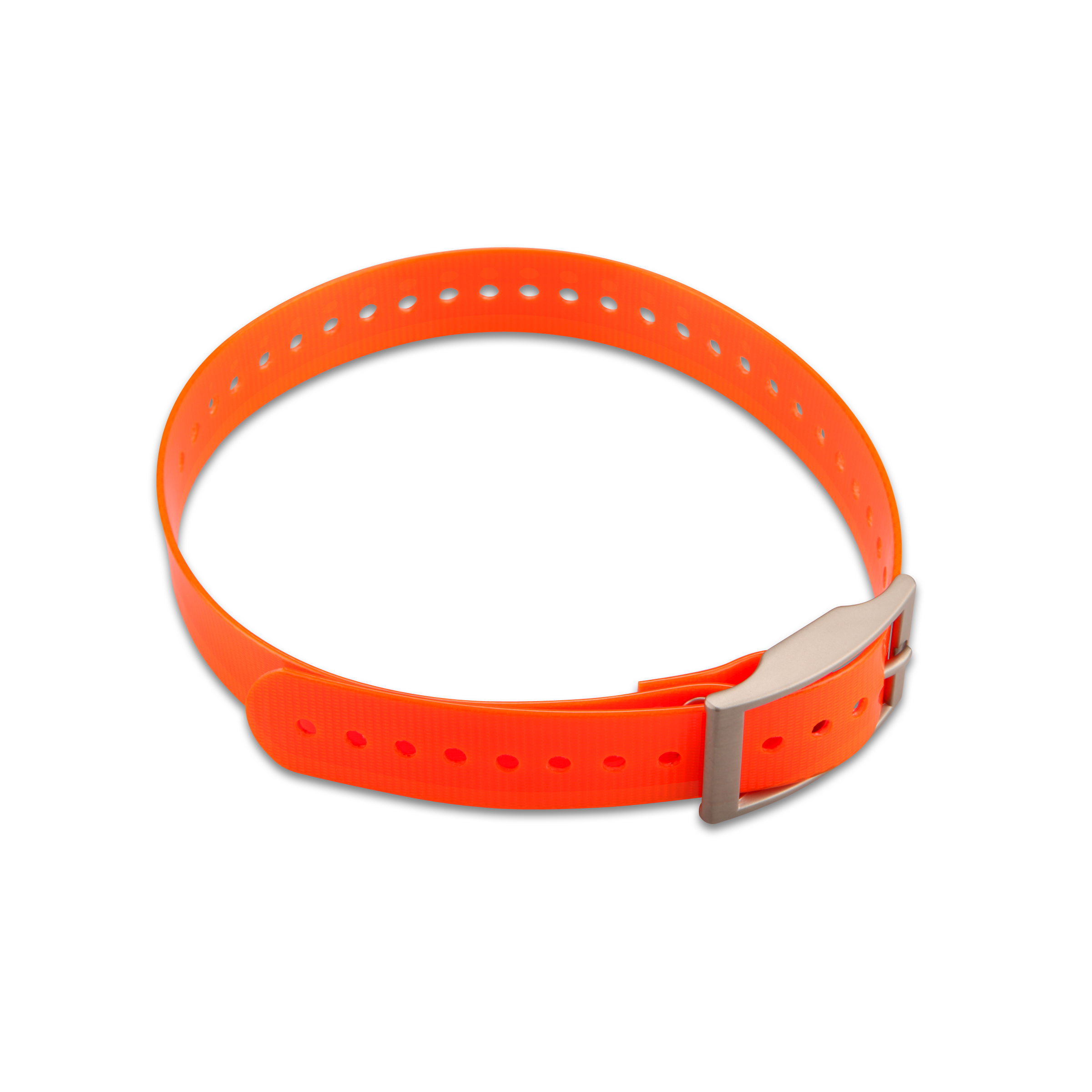2,5CM-NYLON-HALSBAND FUER KLEINE HUNDE Riemenschnalle Orange/Sil